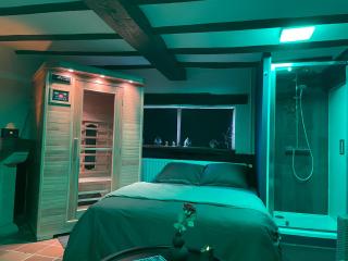 Casawellness améthyste ou jaspe océan avec jacuzzi intérieur - Floreffe - 6