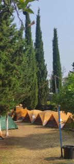 The Sea Turtle Camp - Dhërmi - 2