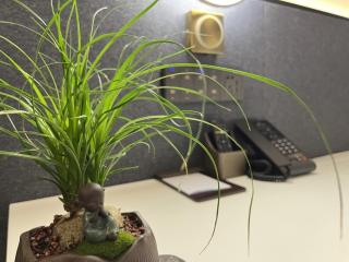 GreenTree Eastern Hotel Yiwu International Trade City - 9