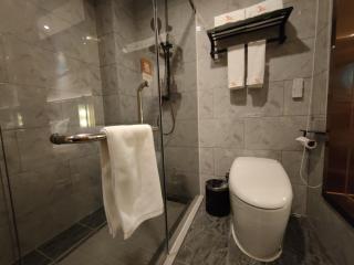 GreenTree Eastern Hotel Xinjiang Urumqi Renmin Road - Ürümqi - 4
