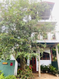 New mom house - Tangalle - 0