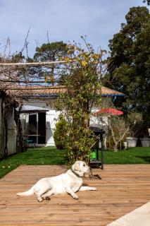 Landaise le lagunak avec piscine chauffée à 900 M de la plage - 3