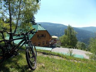 Penzion Alenka - Špindlerův Mlýn - 5