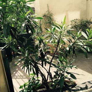 Elegant flat in the historic center of Paris - Paris - 2