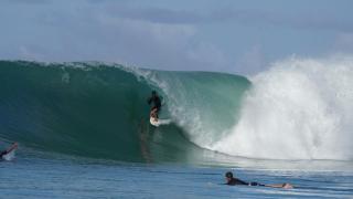 Lilys Nias Surf Camp - 9