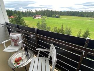 Ferienwohnung Schwarzwald Oase Kniebis - Kniebis - 6
