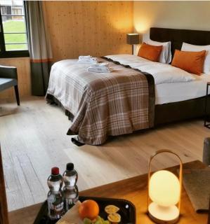 Eiger View Alpine Lodge - Grindelwald - 8