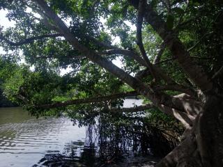 Shine Breeze villa - 4