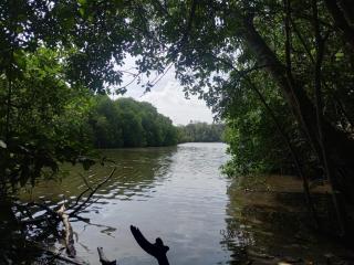 Shine Breeze villa - 3