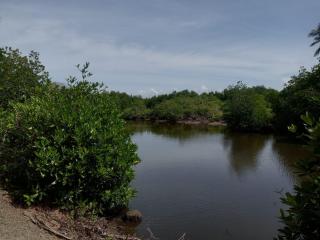 Shine Breeze villa - 2