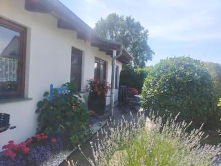 Bungalow _Carpe diem_ - Heringsdorf - 9