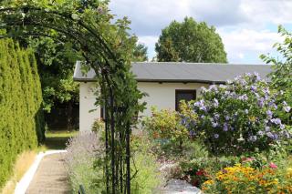 Bungalow _Carpe diem_ - Heringsdorf - 5