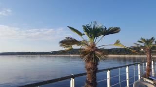 Ostseepark Waterfront_ Karavelle 31 - Heringsdorf - 2