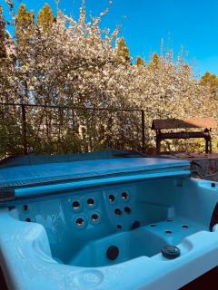Exclusive Jacuzzi Villa Kretinga - Kretinga - 6