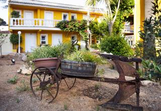Hotel Cupidor - Paguera - 7