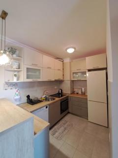 VUCETIC Apartment- Podgorica - Podgorica - 9