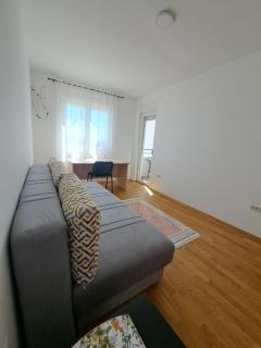 VUCETIC Apartment- Podgorica - 3