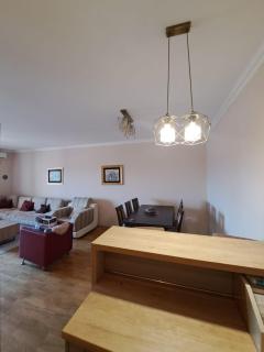 VUCETIC Apartment- Podgorica - Podgorica - 2