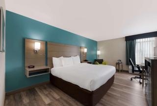 Best Western Hampton Coliseum Inn - Hampton - 3