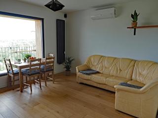 Dębina z Widokiem - Poznan - 7