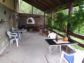 Brvnara Ruska sauna - Čajetina - 9