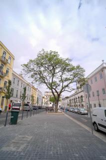 Beato Hideaway: Your home in Lisbon - Lisboa - 7