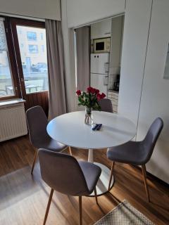Lovely studio apartment, glazed balcony and own parking space - Hyvinkää - 4
