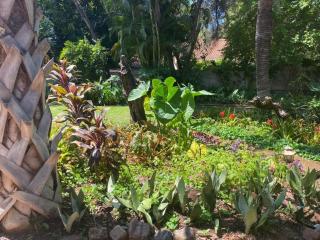 Four Seasons Guesthouse - Hardekool 7 - Lephalale - 3