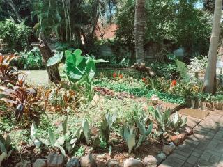 Four Seasons Guesthouse - Hardekool 7 - Lephalale - 1