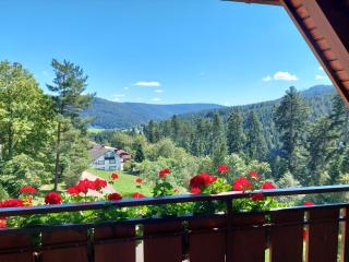 Landhaus Waldeshöhe - 2