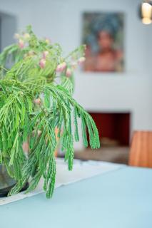 OTIUM living - Volos - 5