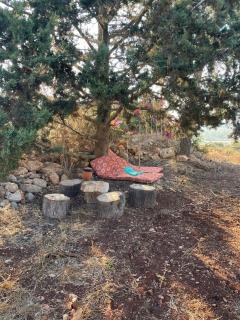 על ראש הגבעה- משק 68 - 1