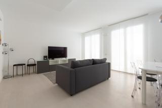 Porta Nuova Bright and Roomy Flat - Milan - 7