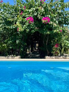 B&B Don Alessandro - Surbo - 0