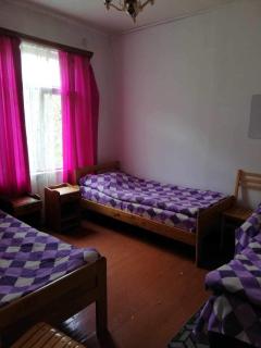 Ioseliani’s guest house - Soli - 8