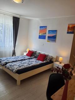 Apartman Sandra - Rijeka - 9