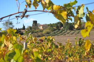 Domaine de la Bade - Raissac-sur-Lampy - 7