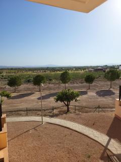 Hacienda de Alamo / Casa Veraneo - Fuente-Álamo de Murcia - 9