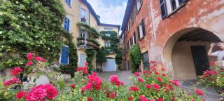 Mandello Riva Granda - 9