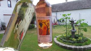 Gästehaus und Weinbau Zur Wiederkehr Strudler - Podersdorf am See - 9