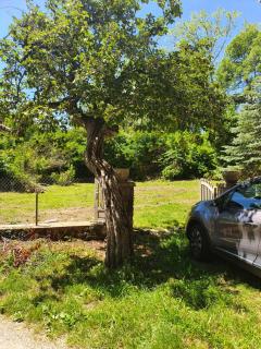 Maison familiale de 280m² - Alboussière - 8