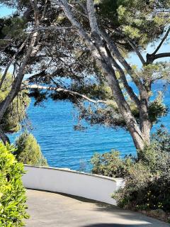 Casa Belladona - 6