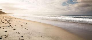 Cape Rey Carlsbad Beach, A Hilton Resort & Spa - Carlsbad - 4