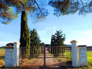 Tenuta Tegolaia - Ponteginori - 1
