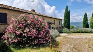 La Toscavera - Pomarance - 7