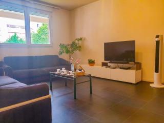 Paisible et Spacieux Appartement au calme proche métro limitrophe de Lyon - Villeurbanne - 0