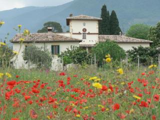 La Palombaia - Spoleto - 8