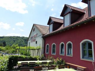 Weinbau & Pension – Familie Birgit und Bernhard Meusert - Volkach - 2