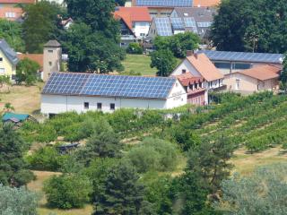 Weinbau & Pension – Familie Birgit und Bernhard Meusert - Volkach - 3