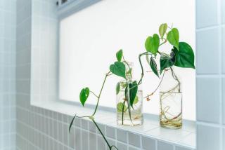 Salt at Arlo Refined luxury in Glenelg - 2